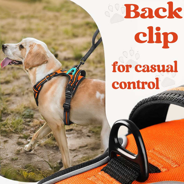 BLACK NO-PULL-DOG-HARNESS