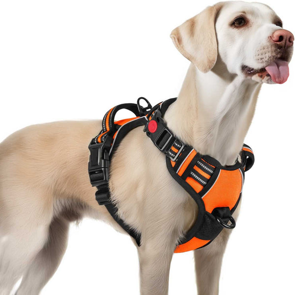 ORANGE NO-PULL-DOG-HARNESS