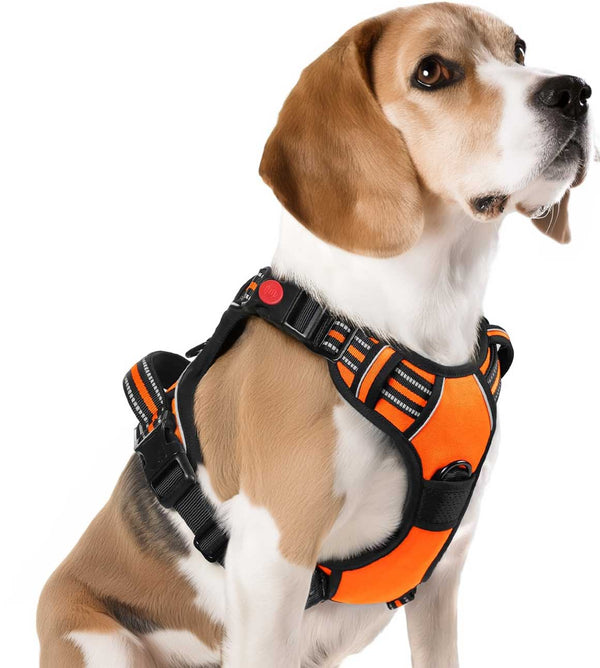 ORANGE NO-PULL-DOG-HARNESS