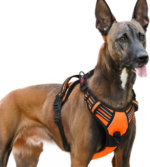 ORANGE NO-PULL-DOG-HARNESS