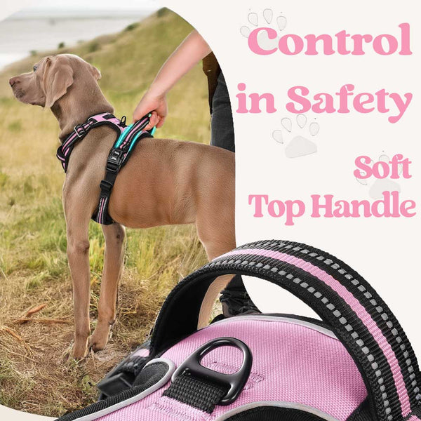 BLACK NO-PULL-DOG-HARNESS