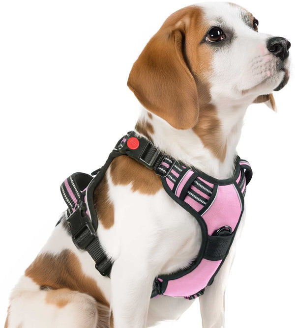 NO-PULL-DOG-HARNESS-Pink