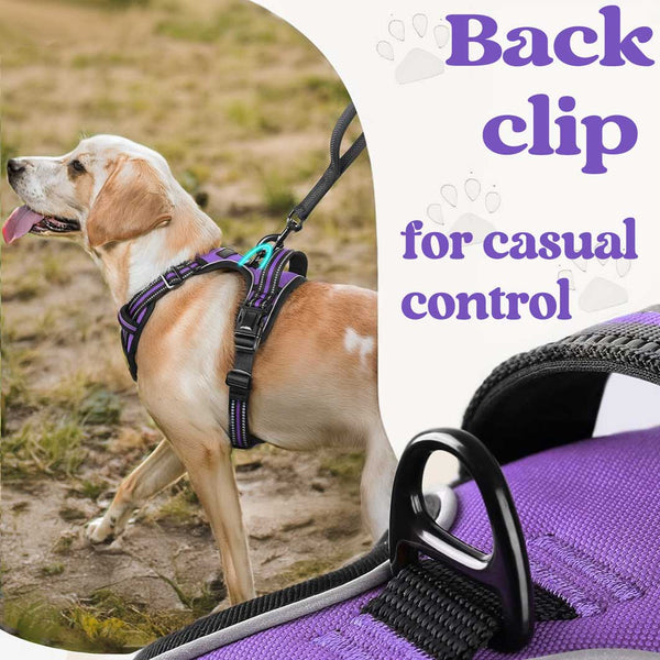 BLACK NO-PULL-DOG-HARNESS