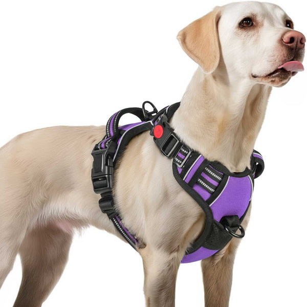 PURPLE NO-PULL-DOG-HARNESS