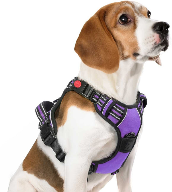 PURPLE NO-PULL-DOG-HARNESS