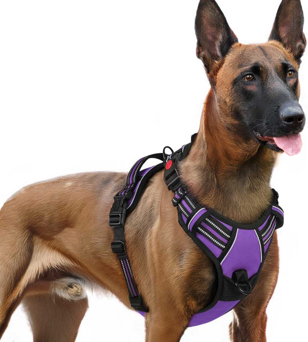 PURPLE NO-PULL-DOG-HARNESS