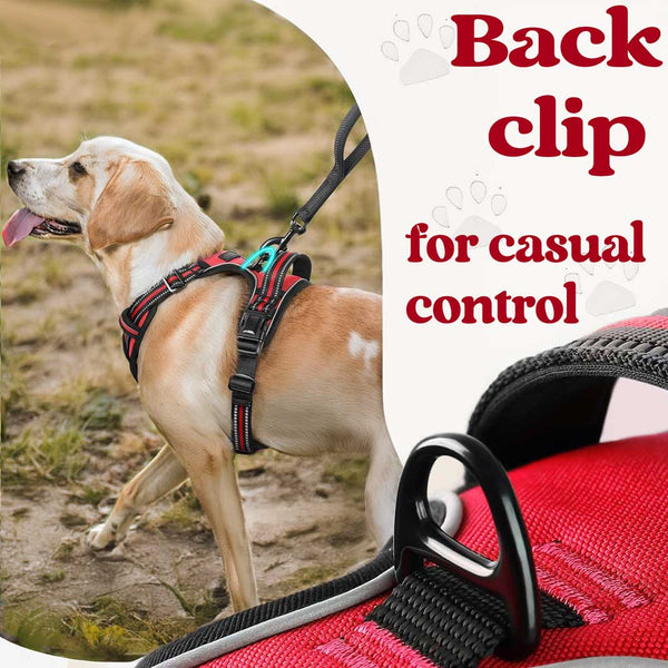 BLACK NO-PULL-DOG-HARNESS