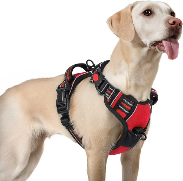 RED NO-PULL-DOG-HARNESS