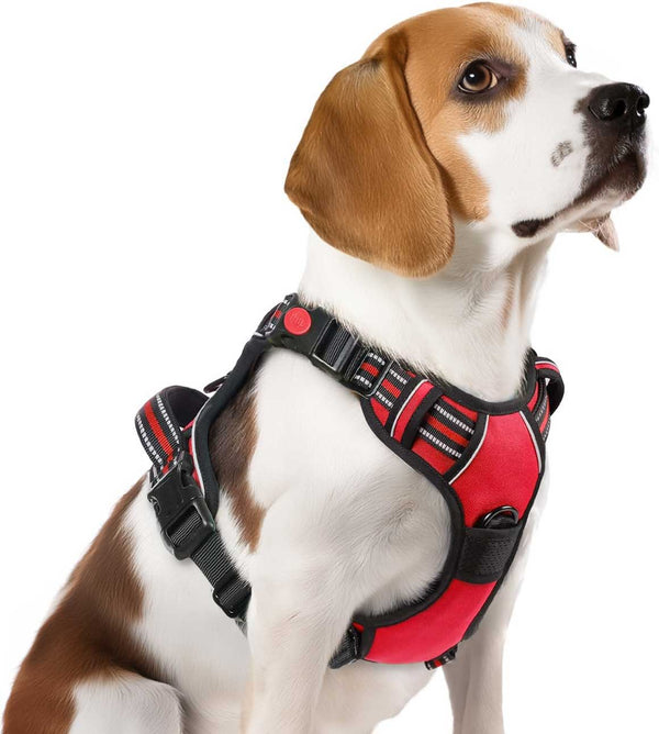 NO-PULL-DOG-HARNESS-Red