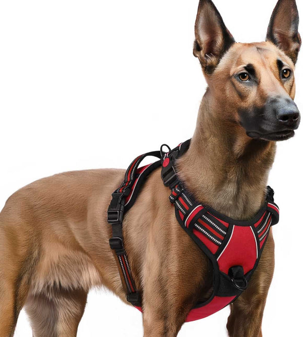 RED NO-PULL-DOG-HARNESS