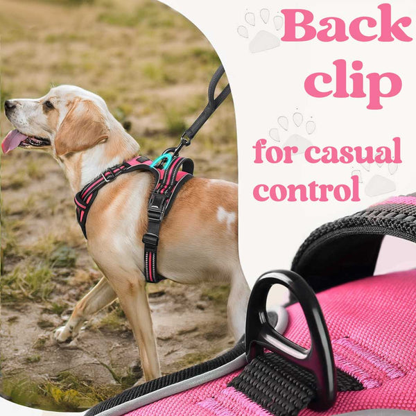 BLACK NO-PULL-DOG-HARNESS