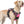 ROSE PINK NO-PULL-DOG-HARNESS