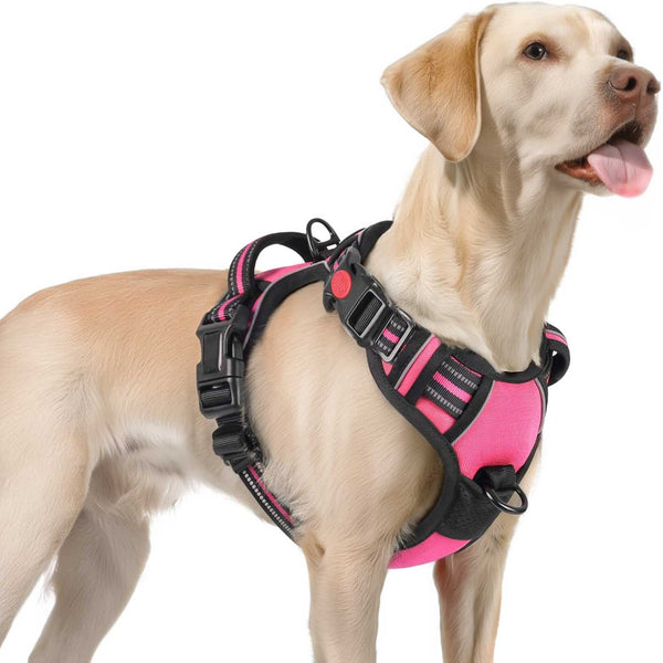 ROSE PINK NO-PULL-DOG-HARNESS