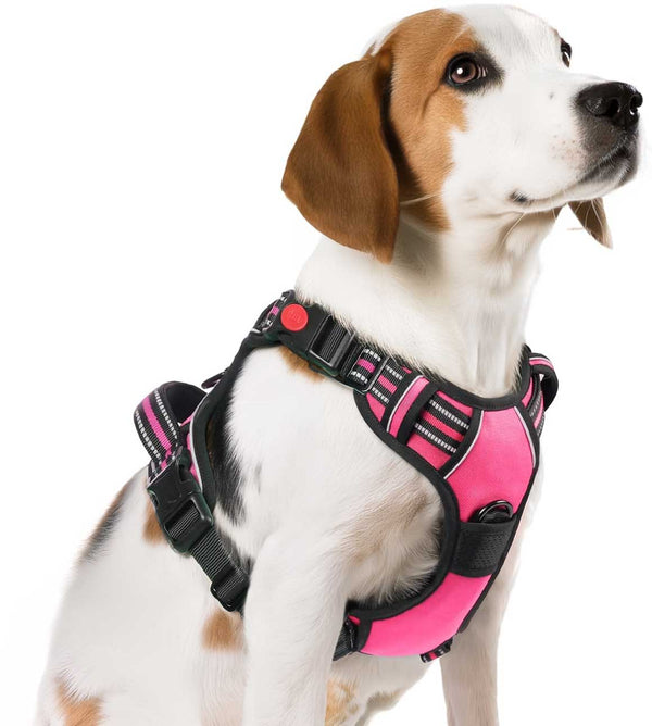 ROSE PINK NO-PULL-DOG-HARNESS