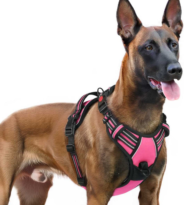 ROSE PINK NO-PULL-DOG-HARNESS