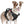 BLACK NO-PULL-DOG-HARNESS