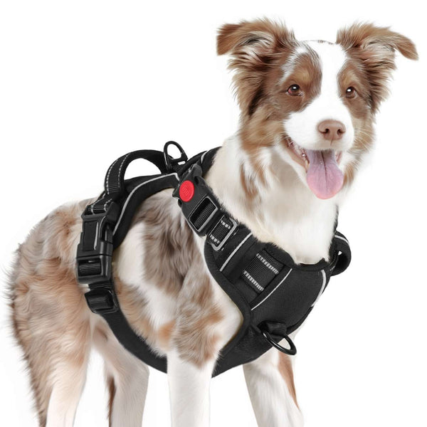 BLACK NO-PULL-DOG-HARNESS