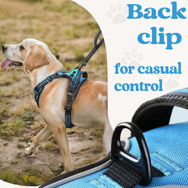 BLACK NO-PULL-DOG-HARNESS