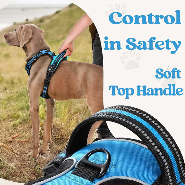 BLACK NO-PULL-DOG-HARNESS