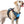 SKY BLUE NO-PULL-DOG-HARNESS