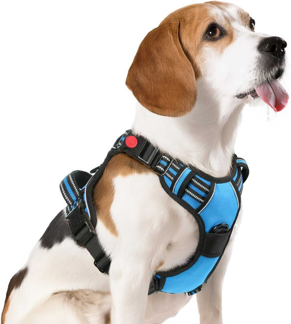 SKY BLUE NO-PULL-DOG-HARNESS