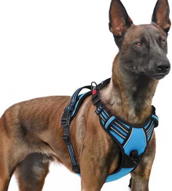 SKY BLUE NO-PULL-DOG-HARNESS