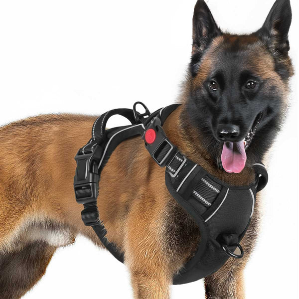 BLACK NO-PULL-DOG-HARNESS