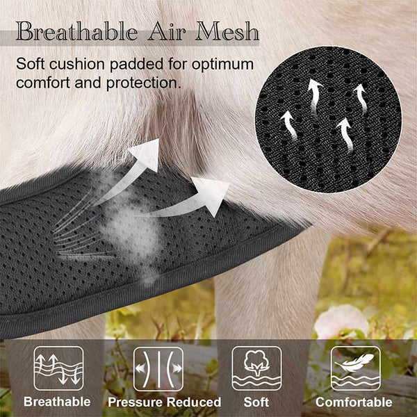 no pull dog harness breathble mesh