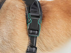 Dog Harness Buckle