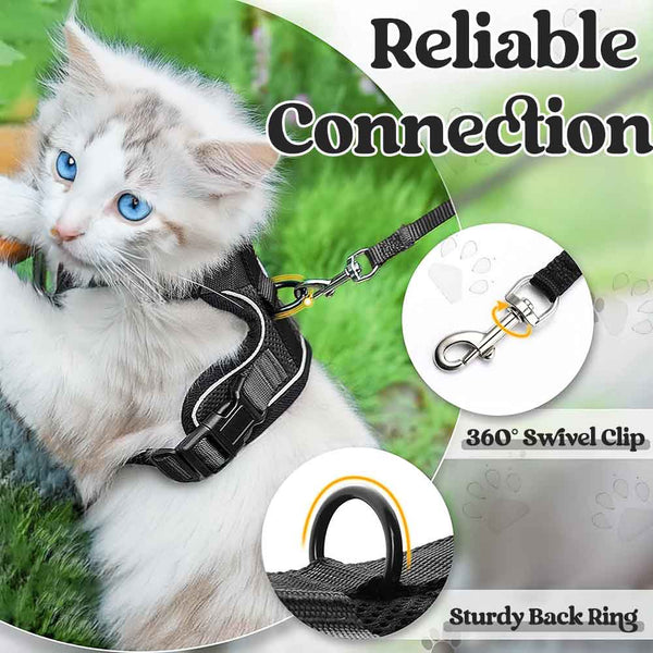 Cat Harness Black s Reliable Connection