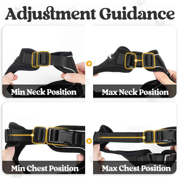 Cat Harness Black Adjustment Guidance