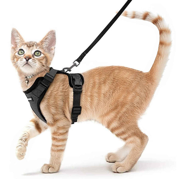 Cat Harness Black s