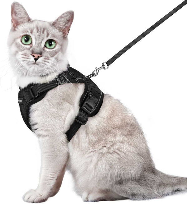 CAT-HARNESS-Medium