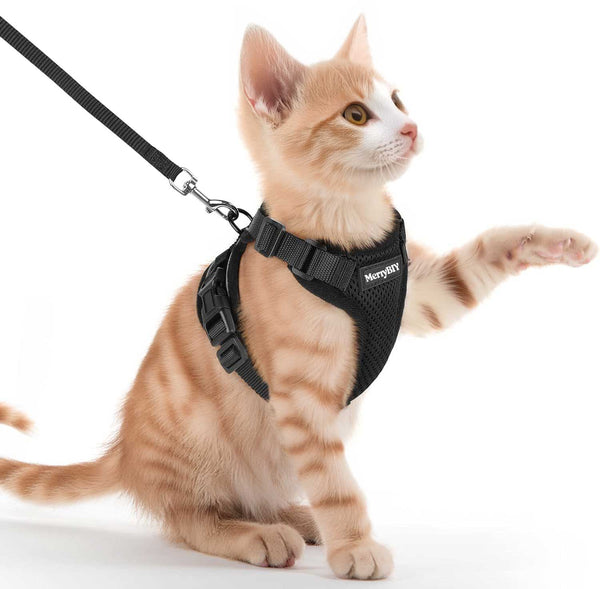 CAT-HARNESS-BLACK