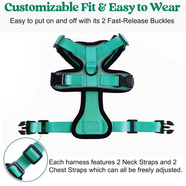 Cat Harness Emerald Customizable Fit