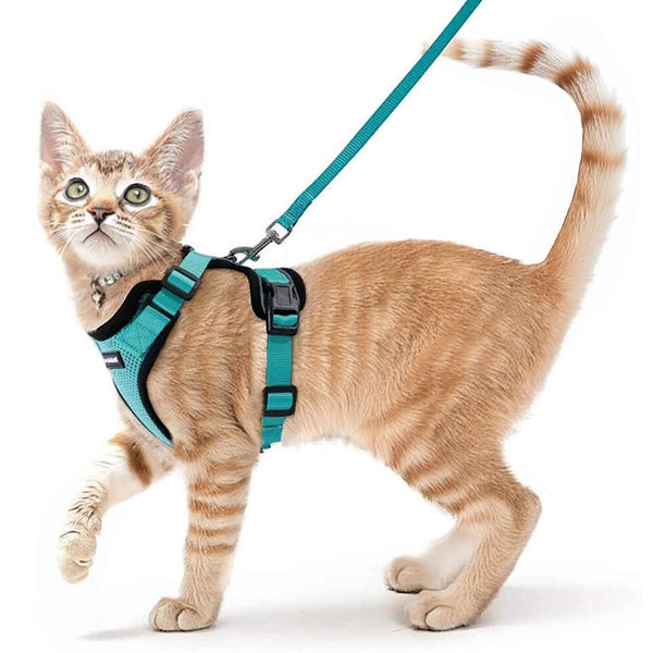 Emerald Cat Harness