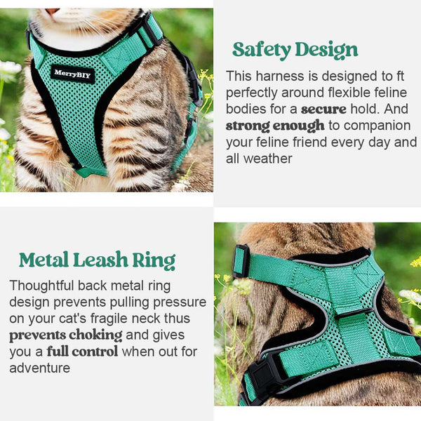 Emerald Cat Harness Safety Design