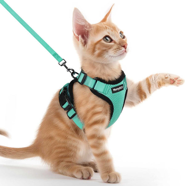 CAT-HARNESS-Emerald