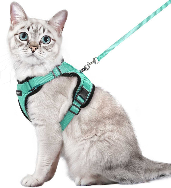 CAT-HARNESS-Medium