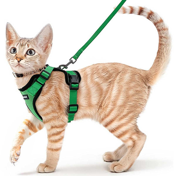 Green Cat Harness