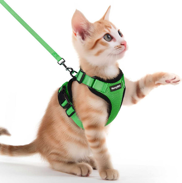 CAT-HARNESS-Grass-Green