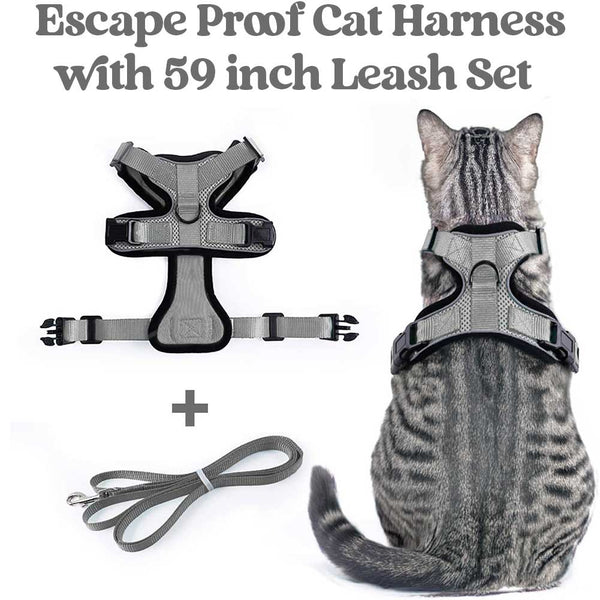 Grey Cat Harness