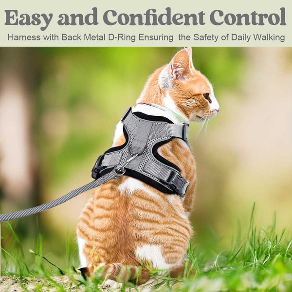 Grey Cat Harness