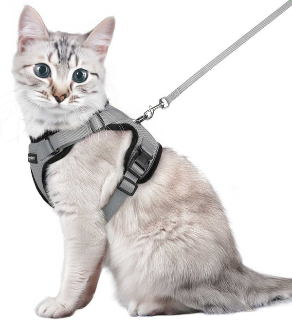 CAT-HARNESS-Medium