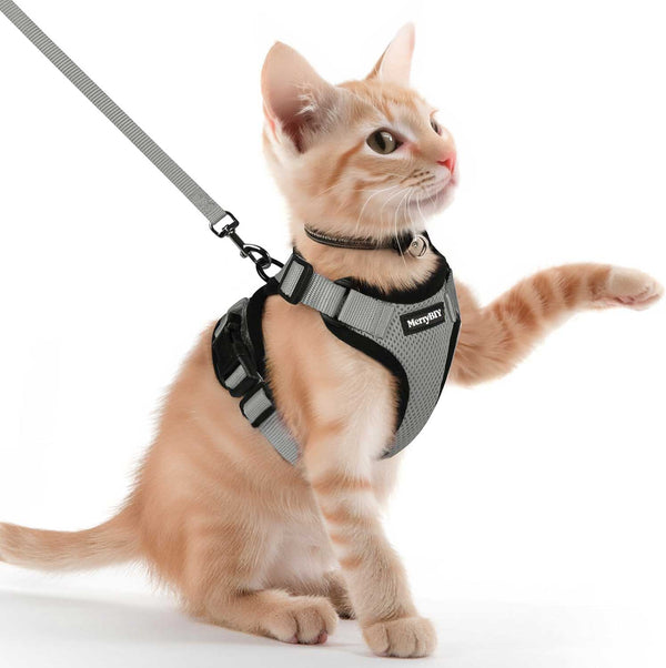 CAT-HARNESS-Gray