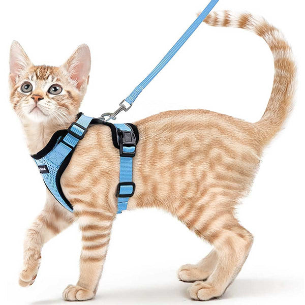 CAT-HARNESS-Light-Blue