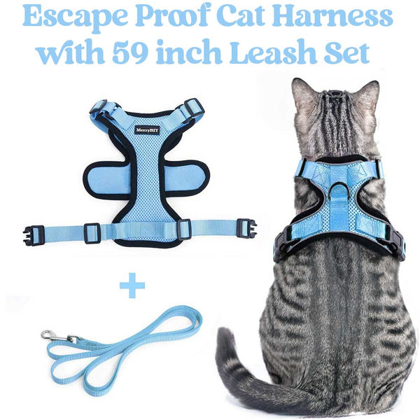 CAT-HARNESS-Light-Blue