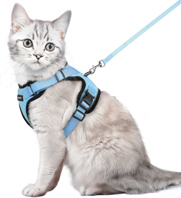 CAT-HARNESS-Medium