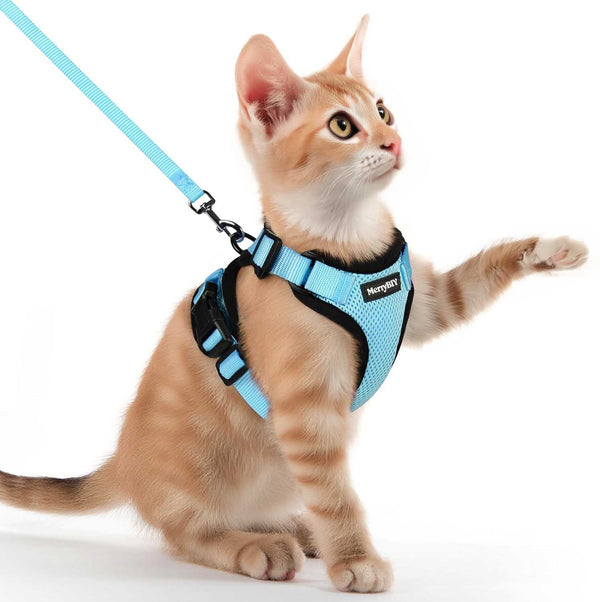 CAT-HARNESS-Light-Blue