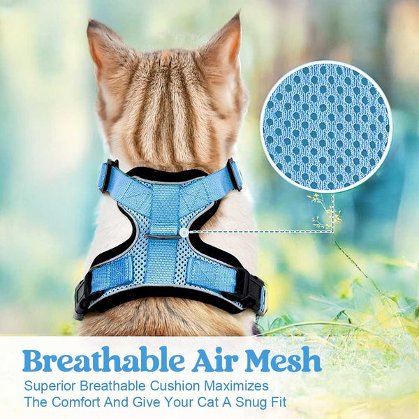 CAT-HARNESS-Light-Blue